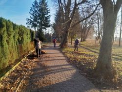 sprzątanie chodników i grabienie liści na ścieżce pieszo rowerowej